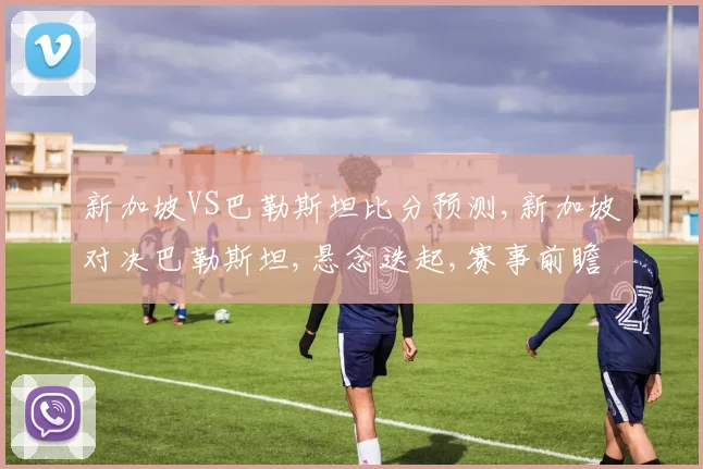 新加坡VS巴勒斯坦比分预测,新加坡对决巴勒斯坦,悬念迭起,赛事前瞻